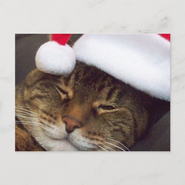 Merry Christmas post card (Front)