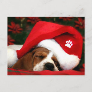 Merry Christmas post card