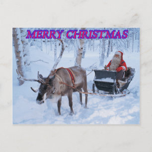 Merry Christmas Postcard