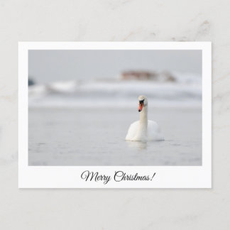 Merry Christmas! postcard