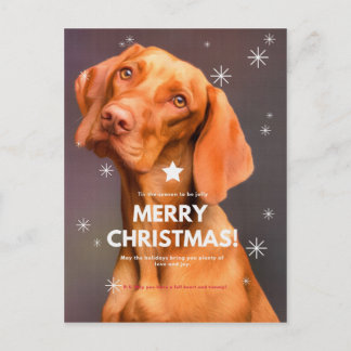 MERRY CHRISTMAS! POSTCARD
