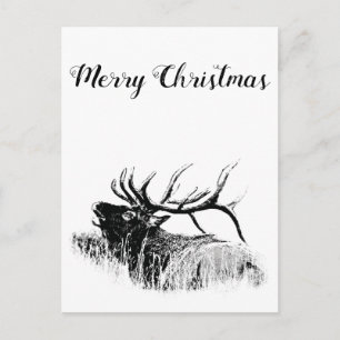 Merry Christmas Postcard