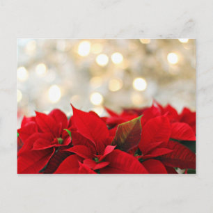 Merry Christmas Postcard w/ Flowers