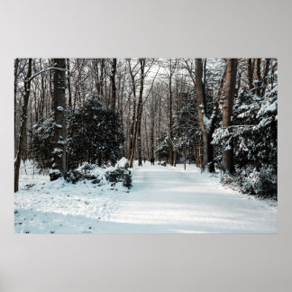 Merry Christmas  Poster