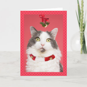 Merry Christmas Pucker Up Cat Under Mistletoe Holiday Card