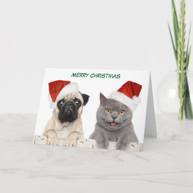 Merry Christmas Pug dog and Kittten Holiday Card (Front)