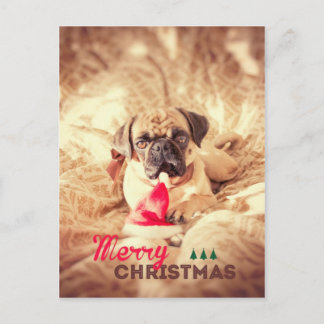 Merry Christmas Pug Holiday Postcard