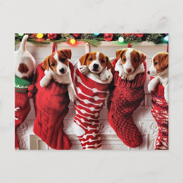 Merry Christmas puppies postcard (Front)