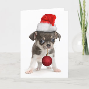 Merry Christmas Puppy Holiday Card