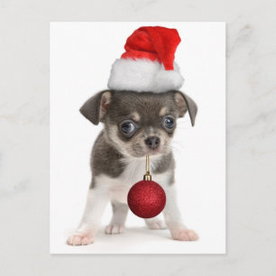 Merry Christmas Puppy Holiday Postcard