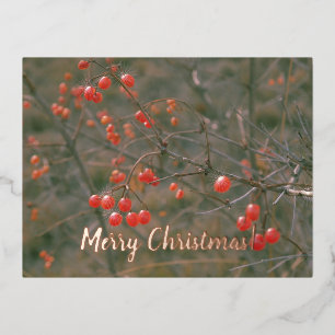 Merry Christmas Red Berries Festive Nature Photo   Foil Holiday Postcard