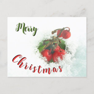 Merry Christmas Red Berries out of Snow Postcard