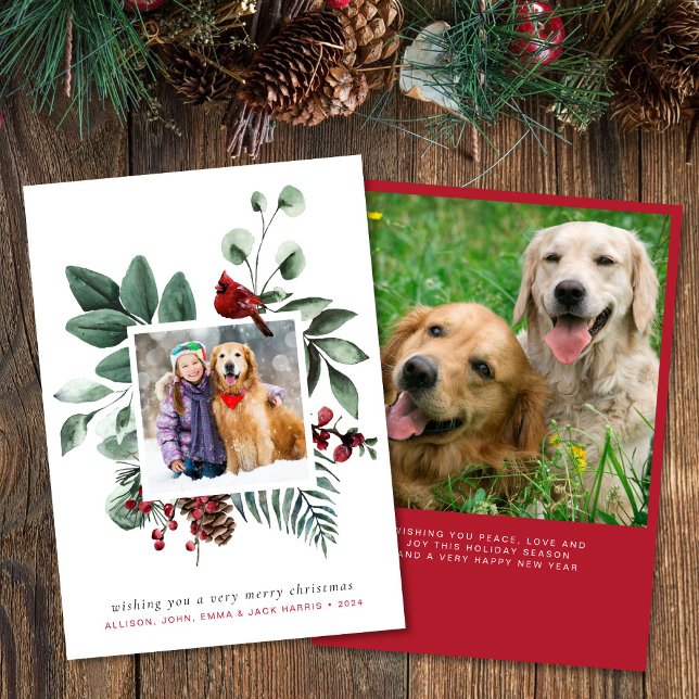 Merry Christmas Red Cardinal 2 Photo Holiday Card (Creator Uploaded)