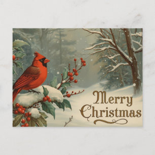 Merry Christmas Red Cardinal and Winter Berries Holiday Postcard