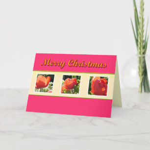 Merry Christmas red flowers greeting card. Holiday Card