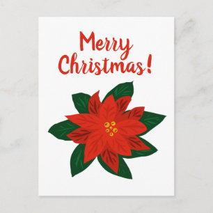Merry Christmas red poinsettia drawing postcards