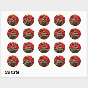 Merry Christmas Red Poinsettias Classic Round Sticker