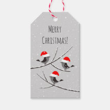 Merry Christmas Red Santa Hat Birds Snow Gift Tags