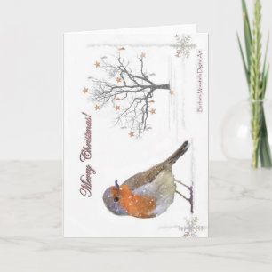 Merry Christmas Robin Holiday Card