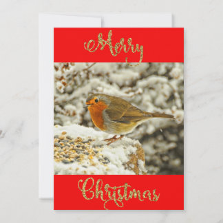 Merry Christmas Robin in Snow Photo Card