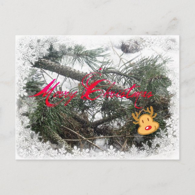 Merry Christmas Rudolph Postcard (Front)