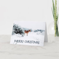 Merry Christmas Rustic Winter Scene with Horse