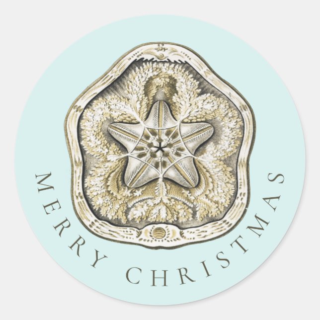 Merry Christmas Sand Dollar Turquoise Coastal Classic Round Sticker (Front)