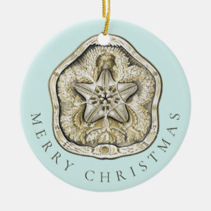 Merry Christmas Sand Dollar Turquoise Pattern Ceramic Ornament