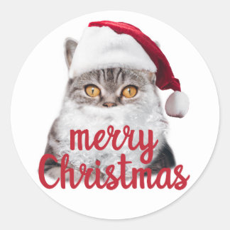 merry christmas santa cat sticker