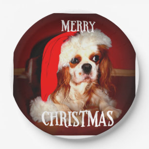 merry christmas santa cav paper plate