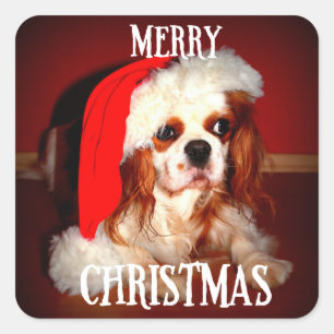 merry christmas santa cav square sticker