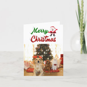 Merry Christmas Santa Claus photo red green script Holiday Card