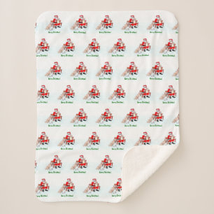 Merry Christmas! Santa Claus with Cat and Dog Sherpa Blanket