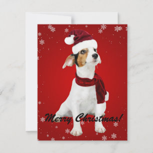 Merry Christmas Santa Dog Holiday Card