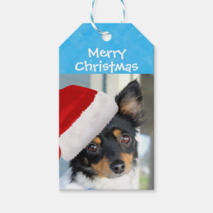 Merry Christmas Santa Doggie Gift Tags