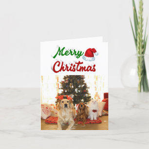 Merry Christmas Santa hat photo red green script Holiday Card