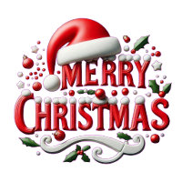 Merry Christmas Santa Hat 