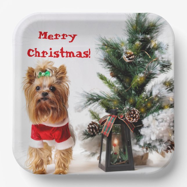 Merry Christmas Santa Yorkie with Christmas Tree Paper Plate (Front)