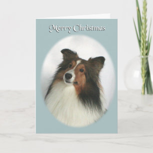 Merry Christmas Sheltie Holiday Card