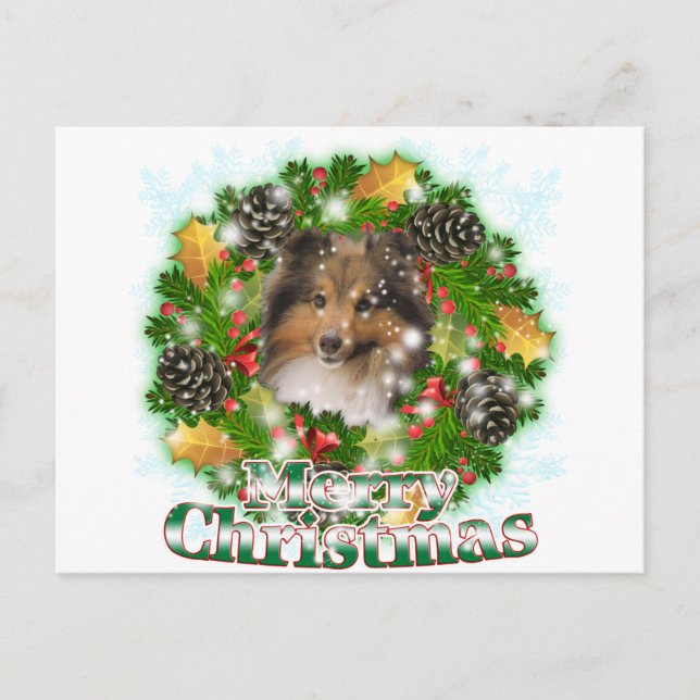 Merry Christmas Sheltie Holiday Postcard (Front)