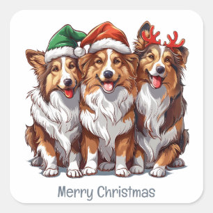 Merry Christmas Shetland Sheepdogs Square Sticker