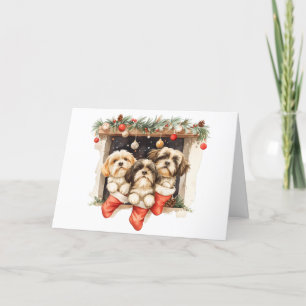 Merry Christmas Shih Tzu Dogs Holiday Card
