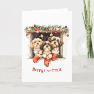 Merry Christmas Shih Tzu Dogs Holiday Card