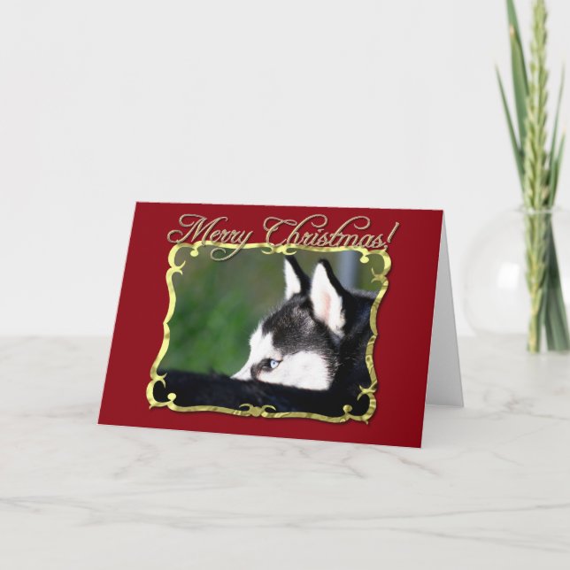 Merry Christmas Siberian Husky Holiday Card (Front)