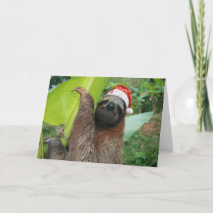 Merry Christmas Sloth Holiday Card