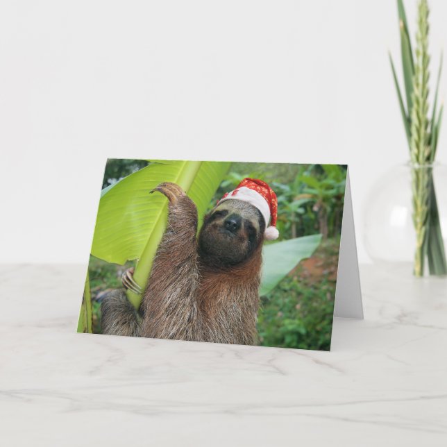 Merry Christmas Sloth Holiday Card (Front)