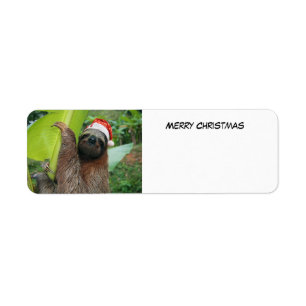 Merry Christmas Sloth Return Address Label