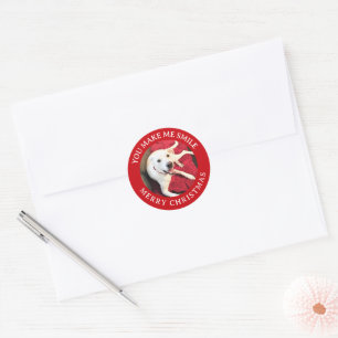 Merry Christmas Smiling Dog Photo Funny Red Round Classic Round Sticker