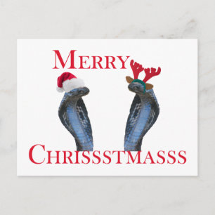 Merry Christmas Snakes In Antlers & Santa Hat Holiday Postcard