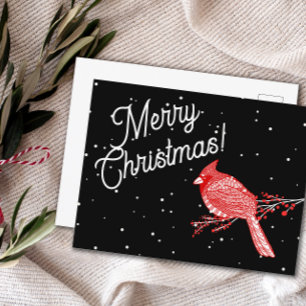 Merry Christmas Snow Cardinal   Postcard